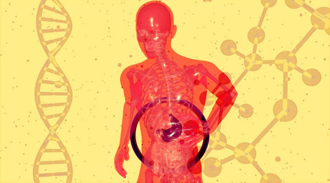 Ilustrasi Materi Biologi Kelas 12 Kurikulum Merdeka Sumber Unsplash/Julien Tromeur