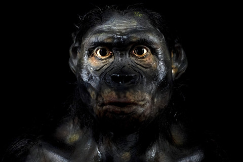 Andrea Izzotti/Shutterstock.