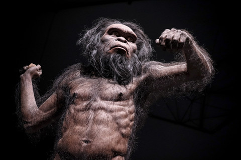 AKKHARAT JARUSILAWONG/Shutterstock
