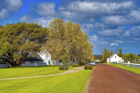 Perkebunan anggur Voyager Estate di Margaret River, Australia Barat. Foto: GagliardiPhotography/Shutterstock