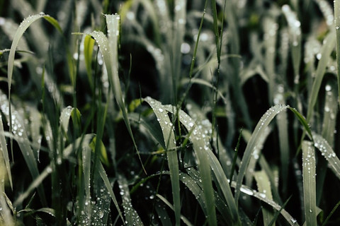 Unsplash/Appolinary Kalashnikova