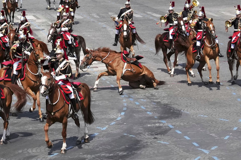 Seekor kuda Garda Republik Prancis terjatuh saat upacara militer tahunan Hari Bastille di jalan Champs-Elysees di Paris, Prancis, Senin (14/7/2025). Foto: Christophe Ena/AP Photo