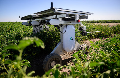 Salah satu robot AI otonom bertenaga surya Aigen, yang disebut Element, saat beroperasi di Bowles Farm di Los Banos, California, Amerika Serikat. Foto: JOSH EDELSON / AFP
