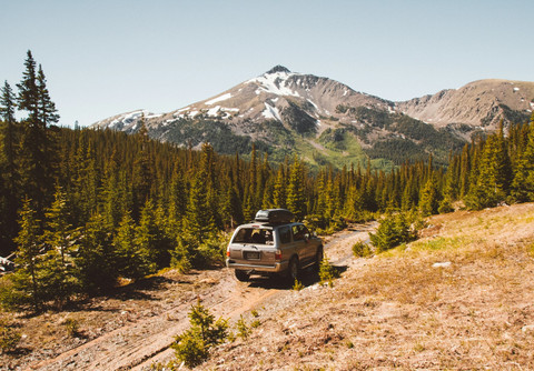 holly mandarich/unsplash
