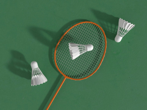 Ilustrasi Jadwal Japan Open 2025, Sumber Unsplash Allison Saeng