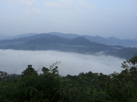 Bukit Panorama Sungai Lembing. Foto: Shutterstock