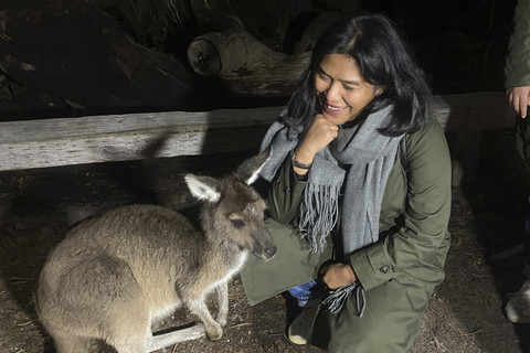 kumparanWOMAN bercengkrama dengan Kanguru saat ikut Nocturnal Animal Tour di Yelverton Brook Conservation Sanctuary, Margaret River, Australia Barat. Foto: Fitria Sofyani/kumparan