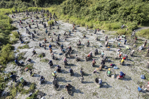 Foto udara sejumlah warga melakukan bekarang atau menangkap ikan bersama menggunakan alat tangkap tradisional di lubuk larangan Lopak Sepang, Desa Tebat Patah, Muaro Jambi, Jambi, Minggu (20/7/2025). Foto: Wahdi Septiawan/ANTARA FOTO