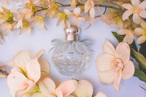 Ilustrasi Notes Parfum Sore HMNS dan Cara Belinya, sumber gambar unsplash/Camille
