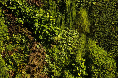 unsplash/709am