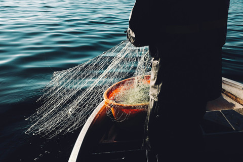 Unsplash/Fredrik Öhlander