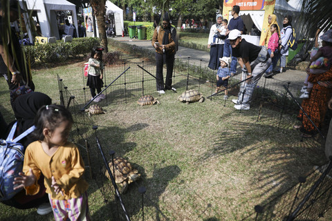 Planet Satwa meramaikan acara kumparanMOM Festival Hari Anak 2025 di Ex Taman Anggrek, Gelora Bung Karno, Jakarta, Sabtu (26/7/2025). Foto: Aditia Noviansyah/kumparan