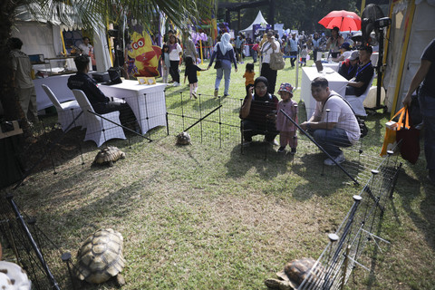 Planet Satwa meramaikan acara kumparanMOM Festival Hari Anak 2025 di Ex Taman Anggrek, Gelora Bung Karno, Jakarta, Sabtu (26/7/2025). Foto: Aditia Noviansyah/kumparan