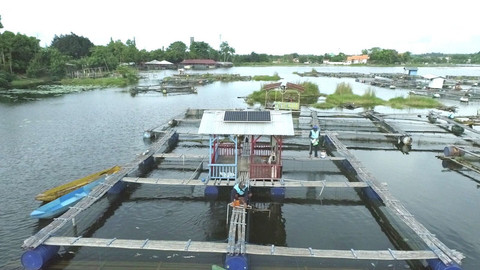 PLTS untuk Aerator Keramba Nelayan Danau Ranu Desa Ranuklindungan Kabupaten Pasuruan, Jawa Timur. Foto: PLN IP
