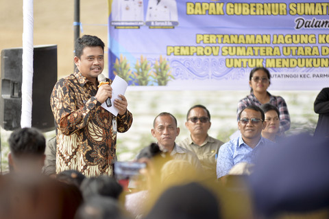 Gubernur Sumut Bobby Nasution bersama Bupati Tapanuli Utara Jonius Taripar Parsaoran Hutabarat menanam jagung saat Gerakan Tanam Jagung Kolaborasi Sumut Berk...                    </div>

                    <div class=