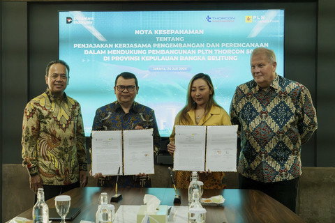 PLN NP