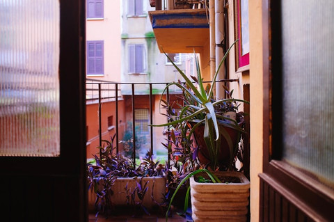 Bagaimana cara menyusun taman kecil di balkon apartemen? Foto: Unsplash/Alaksiej Čarankievič