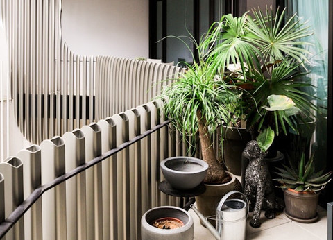 Bagaimana cara menyusun taman kecil di balkon apartemen? Foto: Unsplash