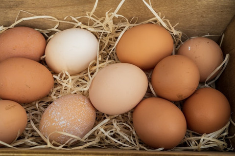 Apakah Nama dari Jenis Telur Ayam yang Berwarna Putih? Foto Hanya Ilustrasi. Sumber Foto: Unsplash.com/Nick Fewings