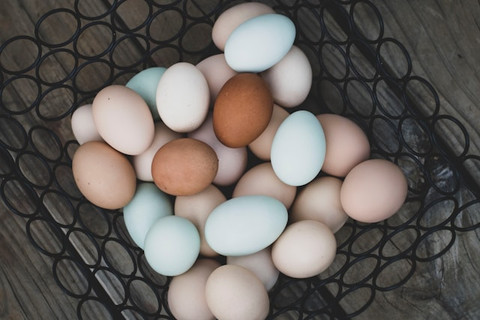 Apakah Nama dari Jenis Telur Ayam yang Berwarna Putih? Foto Hanya Ilustrasi. Sumber Foto: Unsplash.com/Katie Bernotsky
