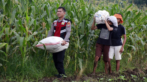 Ilustrasi petani dibantu polisi mengangkat hasil pertanian mereka. (foto: dokumen)