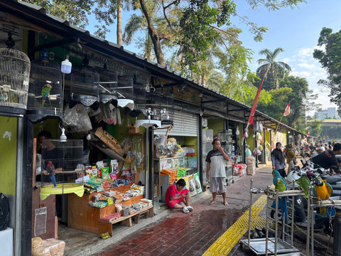Suasana Pasar Burung Barito, Kebayoran Baru, Jakarta Selatan pada Minggu (3/8/2025). Foto: Abid Raihan/kumparan