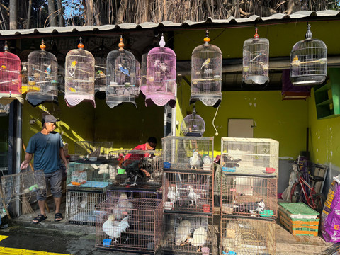 Suasana Pasar Burung Barito, Kebayoran Baru, Jakarta Selatan pada Minggu (3/8/2025). Foto: Abid Raihan/kumparan