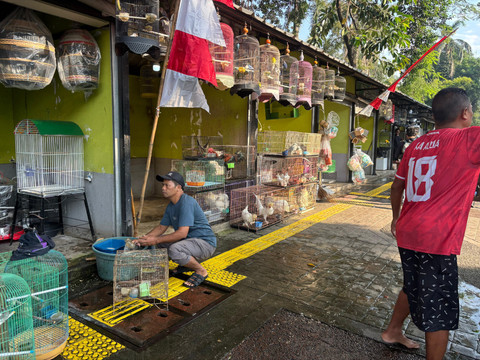 Suasana Pasar Burung Barito, Kebayoran Baru, Jakarta Selatan pada Minggu (3/8/2025). Foto: Abid Raihan/kumparan