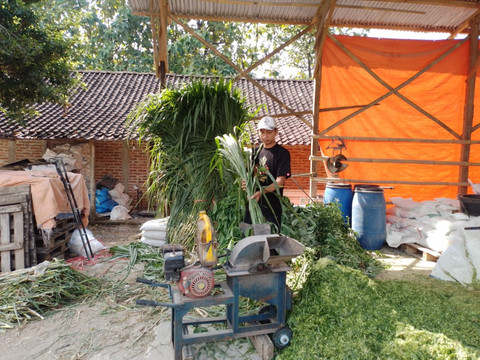 Usaha pakan ternak yang dijalankan pengusaha pakan ternak asal Dukuh Jetis Desa Plancungan, Kecamatan Slahung, Ponorogo, Tommy Wavolta. Foto: Dok. BRI