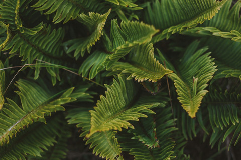  Unsplash/Cyrus Crossan