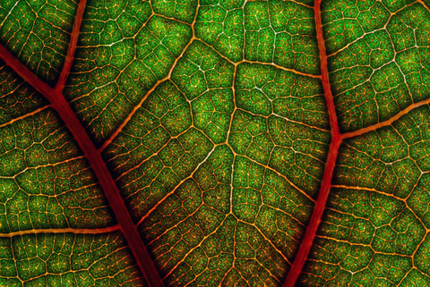  Unsplash/David Clode