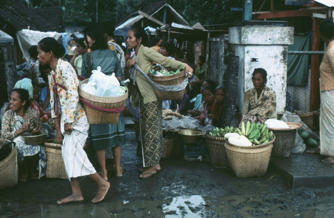 Ilustrasi Cara Daftar DTKS Online 2025 Sumber Unsplash/UC Berkeley, Department of Geography