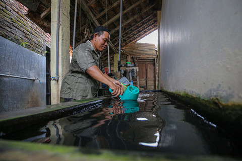  Aditia Noviansyah/kumparan