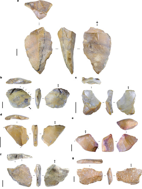 Alat batu yang diduga digunakan manusia Hobbit. Foto: Jurnal Nature 