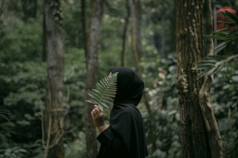 Pexels/Sardwim