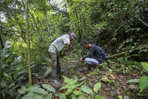 Anggota tim Yayasan Pengiat Konservasi Muria/ PEKA Muria menanam bibit pohon dan penanda titik kordinat di jalur mata air di lereng gunung Muria di Desa Colo, Kudus, Senin (11/8/2025). Foto: Aditia Noviansyah/kumparan