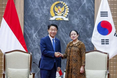 DPR RI