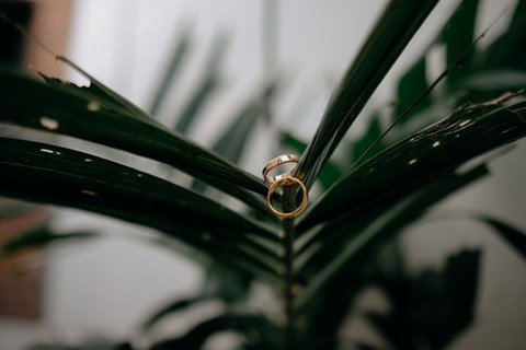 Unsplash/agust moto