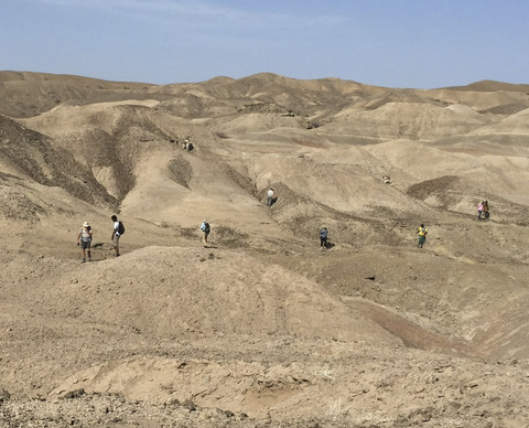 Para ilmuwan menjelajahi lanskap untuk mencari fosil di area penelitian paleoantropologi Ledi-Geraru di Wilayah Afar, Etiopia timur laut, dalam gambar selebaran tanpa tanggal yang dirilis pada (13/8/2025). Foto: Kaye Reed, Arizona State University/Handout via REUTERS