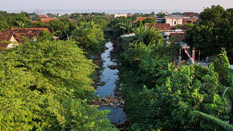 Desa Kesambi di Kudus, Jawa Tengah. Foto: M. Faiz Zulfikar/kumparan