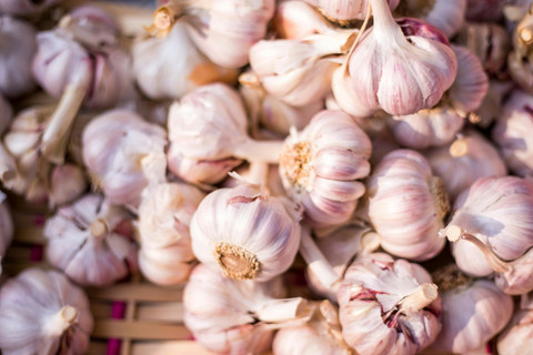 Tanaman Kebun yang Mudah Dirawat. Foto Bawang Putih. Sumber Unsplash Team Voyas