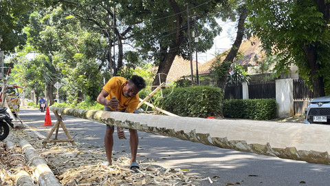 Danis (64), penjual batang pinang di kawasan Manggarai, Jakarta Selatan, Sabtu (16/8/2025). Foto: Nasywa Athifah/kumparan