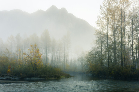 Unsplash/Dave Hoefler