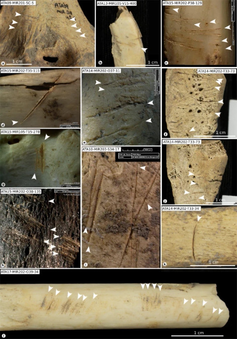  MDGuillén, F. Marginedas /IPHES via Scientific Reports.