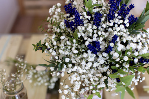 Ilustrasi bunga baby breath. Foto: Shutterstock