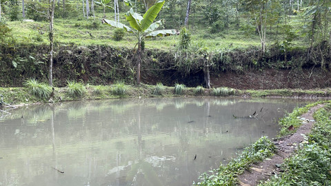 Tempat Raya Biasa Mandi di Dekat Rumahnya. Foto: Rayyan Farhansyah/kumparan