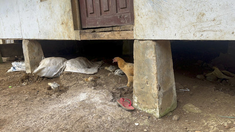 Penampakan Kolong Rumah Raya di Desa Cianaga, Sukabumi, Jawa Barat, Rabu (20/8/2025).  Foto: Rayyan Farhansyah/kumparan