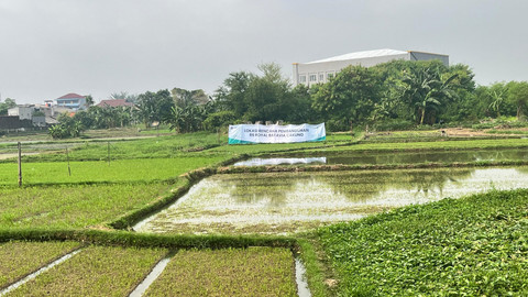 Lahan yang akan digunakan untuk pembangunan Rumah Sakit Royal Batavia Cakung di depan Rumah Susun Tower Cakung Barat, Jakarta Timur, Senin (25/8/2025). Foto: Nasywa Athifah/kumparan
