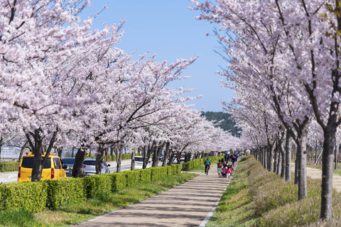 Ilustrasi Jepang. Foto: Nghia Khanh/Shutterstock