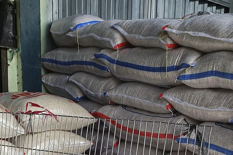 IBeras Premium dan Medium di Pasar Induk Beras Cipinang (PIBC), Jakarta Timur. Senin (9/6/2025). Foto: Muhammad Fhandra Hardiyon/kumparan